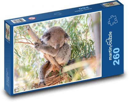 Koala na stromě - vačnatec, býložravec - Puzzle 260 dílků, rozměr 41x28,7 cm