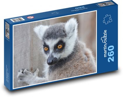 Lemur - divoká zvěř, Madagaskar  - Puzzle 260 dílků, rozměr 41x28,7 cm