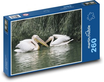 Pelicans - waterfowl, lake - Puzzle 260 pieces, size 41x28.7 cm 