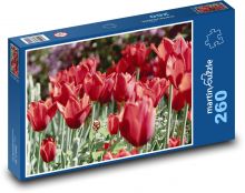 Červené tulipány - květiny, květy Puzzle 260 dílků - 41 x 28,7 cm