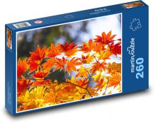 Maple leaves - autumn, tree Puzzle 260 pieces - 41 x 28.7 cm 