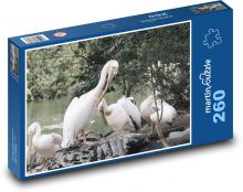 Pelikany - ptaki, staw Puzzle 260 elementów - 41x28,7 cm
