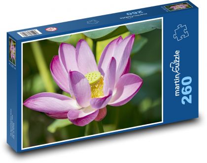 Lotus - květ, okvětní lístky - Puzzle 260 dílků, rozměr 41x28,7 cm