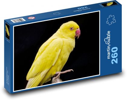 Yellow parrot - bird, feather - Puzzle 260 pieces, size 41x28.7 cm 