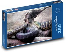 Jamaican Grapes - Snake, Reptile Puzzle 260 pieces - 41 x 28.7 cm 