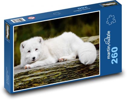 Polar fox - snow fox, animal - Puzzle 260 pieces, size 41x28.7 cm 