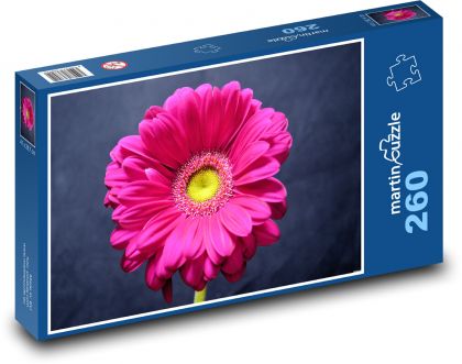 Růžová gerbera - květina, zahrada - Puzzle 260 dílků, rozměr 41x28,7 cm