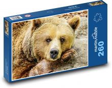 Brown bear - animal, zoo Puzzle 260 pieces - 41 x 28.7 cm 