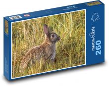 Králík v trávě - divoká zvěř, sedět  Puzzle 260 dílků - 41 x 28,7 cm