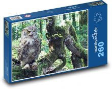 Sova v lese - dravý vták, príroda Puzzle 260 dielikov - 41 x 28,7 cm 