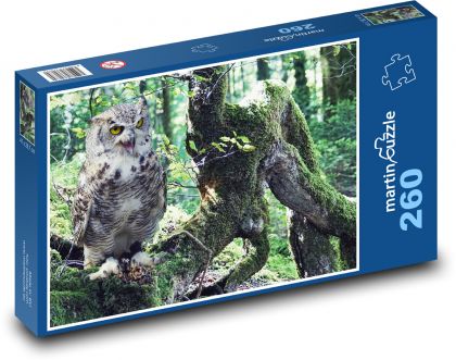 Sova v lese - dravý vták, príroda - Puzzle 260 dielikov, rozmer 41x28,7 cm