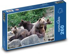 Bears in the zoo - animals, nature Puzzle 260 pieces - 41 x 28.7 cm 