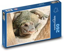 Krokodyl - niebezpieczny gad Puzzle 260 elementów - 41x28,7 cm