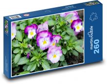 Pansies - spring, flowers Puzzle 260 pieces - 41 x 28.7 cm 