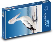 Pelikán australský - vodní pták, moře Puzzle 260 dílků - 41 x 28,7 cm