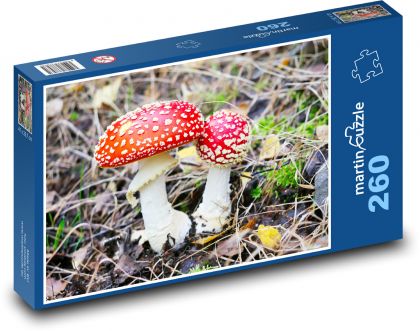 Muchomůrka - houba, les - Puzzle 260 dílků, rozměr 41x28,7 cm