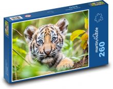 Tiger - cub, tiger Puzzle 260 pieces - 41 x 28.7 cm 