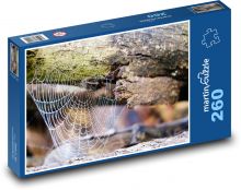 Spider web - morning dew, tree trunk Puzzle 260 pieces - 41 x 28.7 cm 