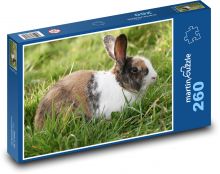 Rabbit - animal, pet Puzzle 260 pieces - 41 x 28.7 cm 