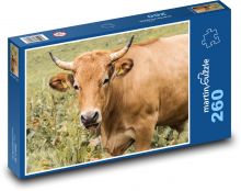 Kráva - rohy, zvíře Puzzle 260 dílků - 41 x 28,7 cm