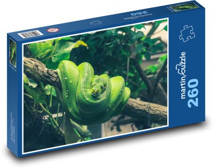 A python on a tree - an animal, a snake - Puzzle 260 pieces, size 41x28.7 cm 