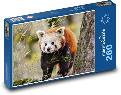 Panda červená - zvíře, medvídek - Puzzle 260 dílků, rozměr 41x28,7 cm