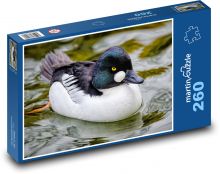 Duck - bird, animal Puzzle 260 pieces - 41 x 28.7 cm 