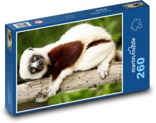 Lemur - zviera, Madagaskar Puzzle 260 dielikov - 41 x 28,7 cm 