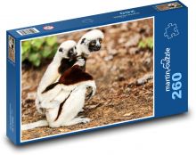 Sifaka Coquerel - lemur, zwierzę Puzzle 260 elementów - 41x28,7 cm