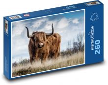 Highland cattle - cow, animal Puzzle 260 pieces - 41 x 28.7 cm 