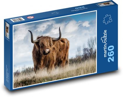 Highland cattle - cow, animal - Puzzle 260 pieces, size 41x28.7 cm 