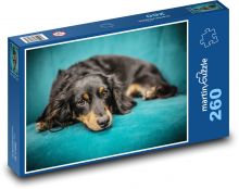 Pes - štěně, gauč Puzzle 260 - 41x28,7 cm