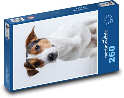 Pes - Jack Russell, mazlíček - Puzzle 260 dílků, rozměr 41x28,7 cm