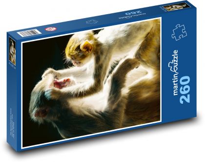 Monkey - primate, chick - Puzzle 260 pieces, size 41x28.7 cm 