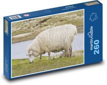 Sylt - Řecko, ovce Puzzle 260 dílků - 41 x 28,7 cm