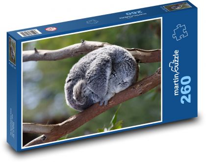 Koala - vačnatec, zvíře - Puzzle 260 dílků, rozměr 41x28,7 cm