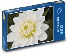 Květ bílé jiřiny Puzzle 260 - 41x28,7 cm