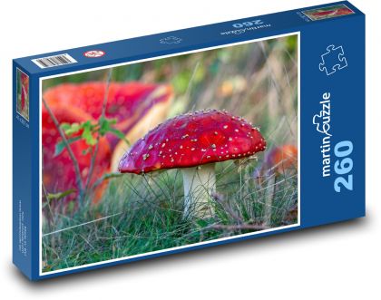 Červená houba - muchomůrka - Puzzle 260 dílků, rozměr 41x28,7 cm