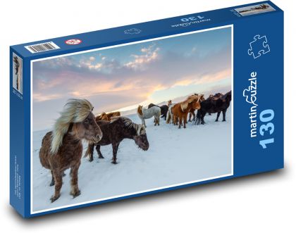 Iceland - horses - Puzzle 130 pieces, size 28.7x20 cm 