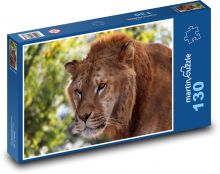 Lev Puzzle 130 dílků - 28,7 x 20 cm