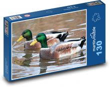 Káčer - vtáky, voda Puzzle 130 dielikov - 28,7 x 20 cm 