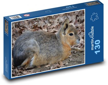 Hare - Patagonian, rodent - Puzzle 130 pieces, size 28.7x20 cm 