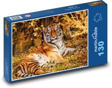 Tiger - šelma, dravec Puzzle 130 dielikov - 28,7 x 20 cm 