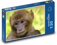 Macaque - monkey, zoo Puzzle 130 pieces - 28.7 x 20 cm 