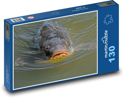 Carp - pond, fish - Puzzle 130 pieces, size 28.7x20 cm 