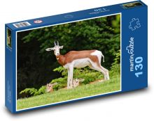 Gazelle - Africa, animal Puzzle 130 pieces - 28.7 x 20 cm 