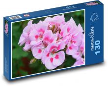 Pelargonium - pink flower, nutmeg Puzzle 130 pieces - 28.7 x 20 cm 