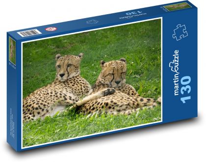 Cheetah - wild cat, animal - Puzzle 130 pieces, size 28.7x20 cm 