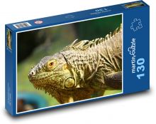 Iguana - jašterica, plaz Puzzle 130 dielikov - 28,7 x 20 cm 