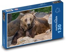 Hnědý medvěd - ležící zvíře, masožravý Puzzle 130 dílků - 28,7 x 20 cm